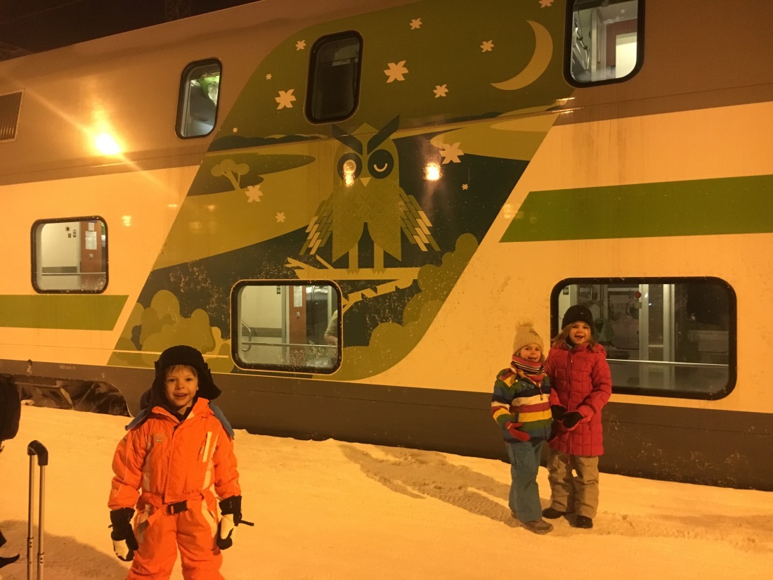 Lapland Budget Night train
